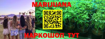 прущие крисы Братск
