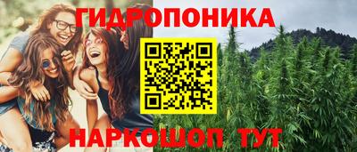 прущие крисы Братск