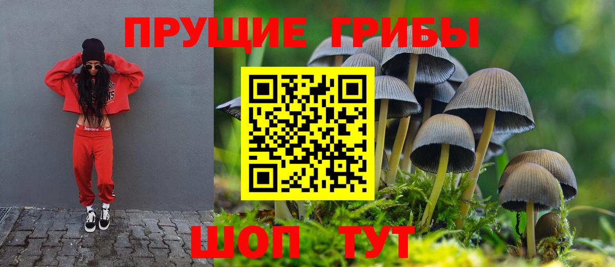 Псилоцибиновые грибы мицелий  Галлюциногенные грибы Cubensis  Белово  даркнет сайт  Вход с VPN 